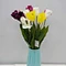 bulk white tulips